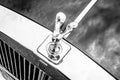 The famous emblem Spirit of Ecstasy on the Rolls-Royce Silver Spirit. Royalty Free Stock Photo