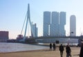 The famous Erasmus Bridge amidst the mist on a late autumn day in Rotterdam, Holland, the Netherlands