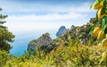 Famous Faraglioni Rocks buried in verdure, Capri Island, Italy Royalty Free Stock Photo