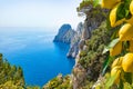 Famous Faraglioni Rocks, Capri Island, Italy. Beautiful paradise landscape with azure sea in sunny day with ripe yellow lemons in Royalty Free Stock Photo