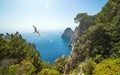 Famous Faraglioni rocks, Capri island, Italy Royalty Free Stock Photo