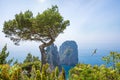 Famous Faraglioni Rocks, Capri Island, Italy Royalty Free Stock Photo