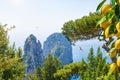 Famous Faraglioni Rocks near Capri Island, Italy. Beautiful paradise landscape with azure sea in summer sunny day and ripe yellow Royalty Free Stock Photo