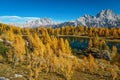 Famous Federa lake in the alpine larch forest, Dolomites, Italy