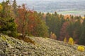 The famous forestless area built of blocks of Cambrian quartzite sandstone called GoÃâoborze (Polish folk term), Poland