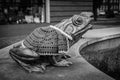 Famous frog in lÃâ¢bork poland in a hand-knitted red cape for Christmas close-up