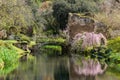 The famous Garden of Ninfa in the spring