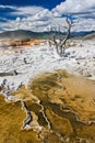 Famous geothermal place near Mamoth Hot springs, Yellowstone NP