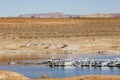 The famous Glen Canyon with boats around Lake Powell, Page