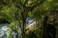 Kaituna Falls, Okere Royalty Free Stock Photo