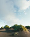 Famous grass hills on black desert near Stokksnes Royalty Free Stock Photo