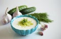 Famous Greek yoghurt sauce tzatziki with cucumbers, herbs and ga Royalty Free Stock Photo