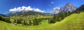 Famous Grindelwald valley, green forest, Alps chalets and Swiss Alps, Berner Oberland, Switzerland Royalty Free Stock Photo