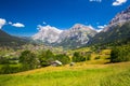 Famous Grindelwald valley, green forest, Alps chalets and Swiss Alps, Berner Oberland, Switzerland Royalty Free Stock Photo