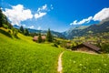 Famous Grindelwald valley, green forest, Alps chalets and Swiss Alps, Switzerland Royalty Free Stock Photo