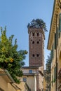 The famous Guinigi tower, Lucca, Italy, over the historic center with an orange tree in the foreground Royalty Free Stock Photo