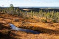 Famous hanging bogs in autumnal Riisitunturi National Park Royalty Free Stock Photo