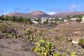 Famous Haria village on Lanzarote Island, Spain