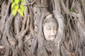 Famous head of Buddha looking out of the interlacing of tree roots at Wat Mahathat, Ayutthaya City