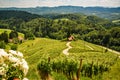 Famous Heart shaped wine road in Austria / Slovenia travel destination
