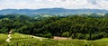 Famous Heart shaped wine road in Austria Slovenia travel destination