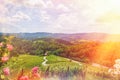 Famous Heart shaped wine road in Slovenia - Austria border travel destination