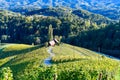 Famous Heart shaped wine road in Slovenia, vineyard near Maribor