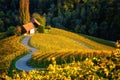 Famous heart shaped wine road in Slovenia, scenic view from Spicnik near Maribor. Amazing autumn landscape, vineyard hills