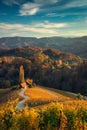 Famous Heart shaped wine road in Slovenia, view from Spicnik ne Royalty Free Stock Photo