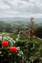 Famous heart shaped wine road in Slovenia