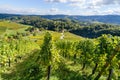 Famous Heart shaped wine road in Slovenia, vineyard near Maribor