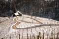 Famous Heart shaped wine road in Slovenia in winter,