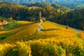 Famous heart-shaped wine route in beautiful autumn colors, wonderful vineyards near Maribor, close to the Austrian border