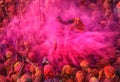 Famous hilarious Holi festival of India. Royalty Free Stock Photo