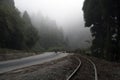A road to Darjeeling from Siliguri cutting through the deep cloud Royalty Free Stock Photo