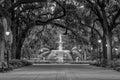 Famous historic Forsyth Fountain in Savannah, Georgia Royalty Free Stock Photo