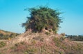 The famous historic ruins at Garh Panchakot, a popular travel destination of Purulia