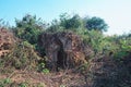 The famous historic ruins at Garh Panchakot, a popular travel destination of Purulia