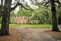 Historic Sheldon Church ruins in Charleston, South Carolina Royalty Free Stock Photo