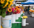 Famous Hollywood Farmers Market Fresh Cut Flowers Vendor Stand Royalty Free Stock Photo