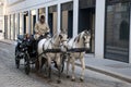 Famous horse carriage 'Fiaker' in Vienna, Austria