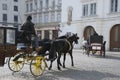 Famous horse carriage 'Fiaker' in Vienna, Austria