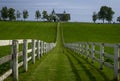 The famous horse country grass lands at Manchester horse farm in lexington kentucky