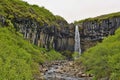 Famous Icelandic Svartifoss waterfall in the basalt & x28;whinstone& x29; canyon placed in VatnajÃÂ¶kull National Park Royalty Free Stock Photo