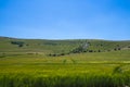 The Long Man of Wilmington, East Sussex, England