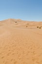 Famous and inconic sahara sand dunes of Erg Chebbi in the Moroccan desert near Merzouga, Morocco, North Africa Royalty Free Stock Photo