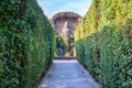 Famous Italian Renaissance garden. Tivoli Gardens. Parks and trees of Villa D`Este. Italy