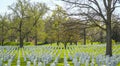 Famous landmark in Washington - The Arlington Cemetery - WASHINGTON, DISTRICT OF COLUMBIA - APRIL 8, 2017