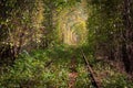 Famous landscape called Tunnel of Love, Ukraine. Railway with colorful natural tunnel in autumn. Magical autumn landscape. Royalty Free Stock Photo