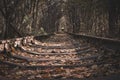 Famous landscape called Tunnel of Love, Ukraine. Railway with natural tunnel in autumn. Magical autumn landscape.